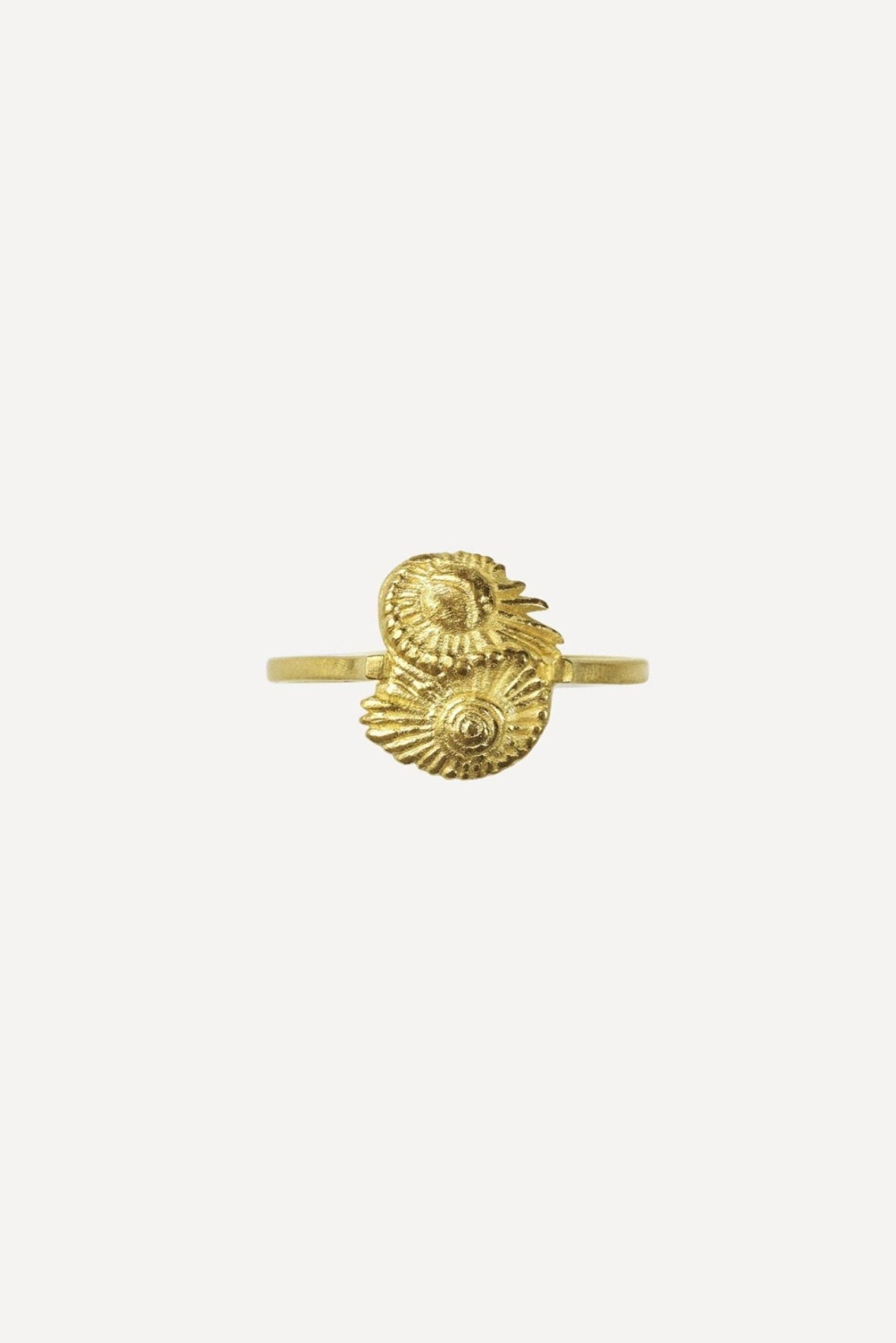 Star Sign Poetry Gemini Petite Gold Ring – Elhanati Official