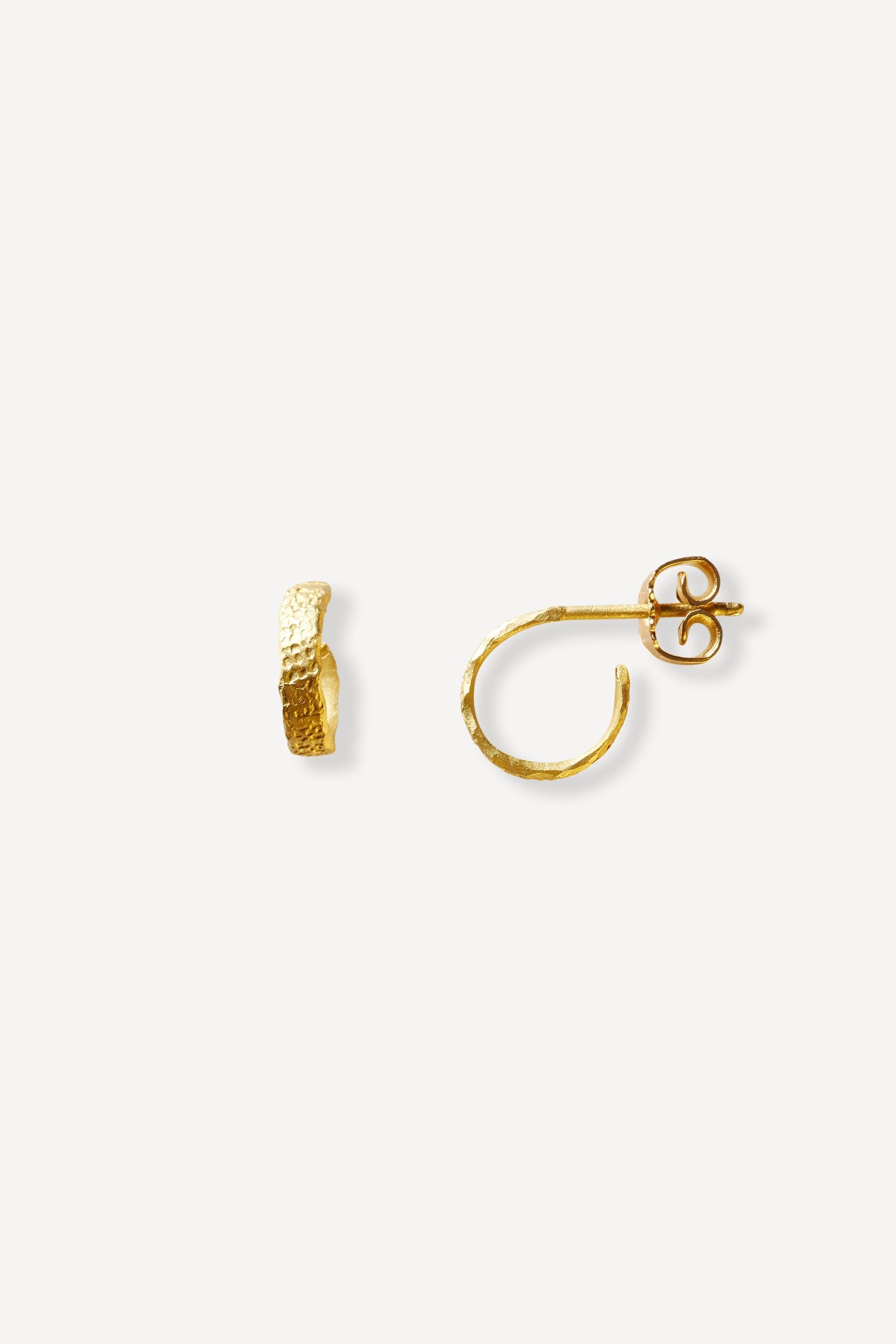 Man Roxy Hoop Small Gold Earrings [Pair]