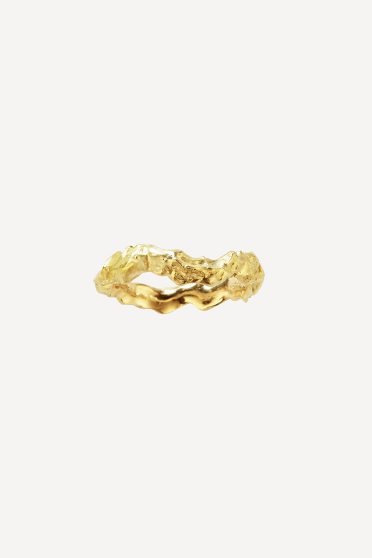 Rock Muse Nude Gold Band