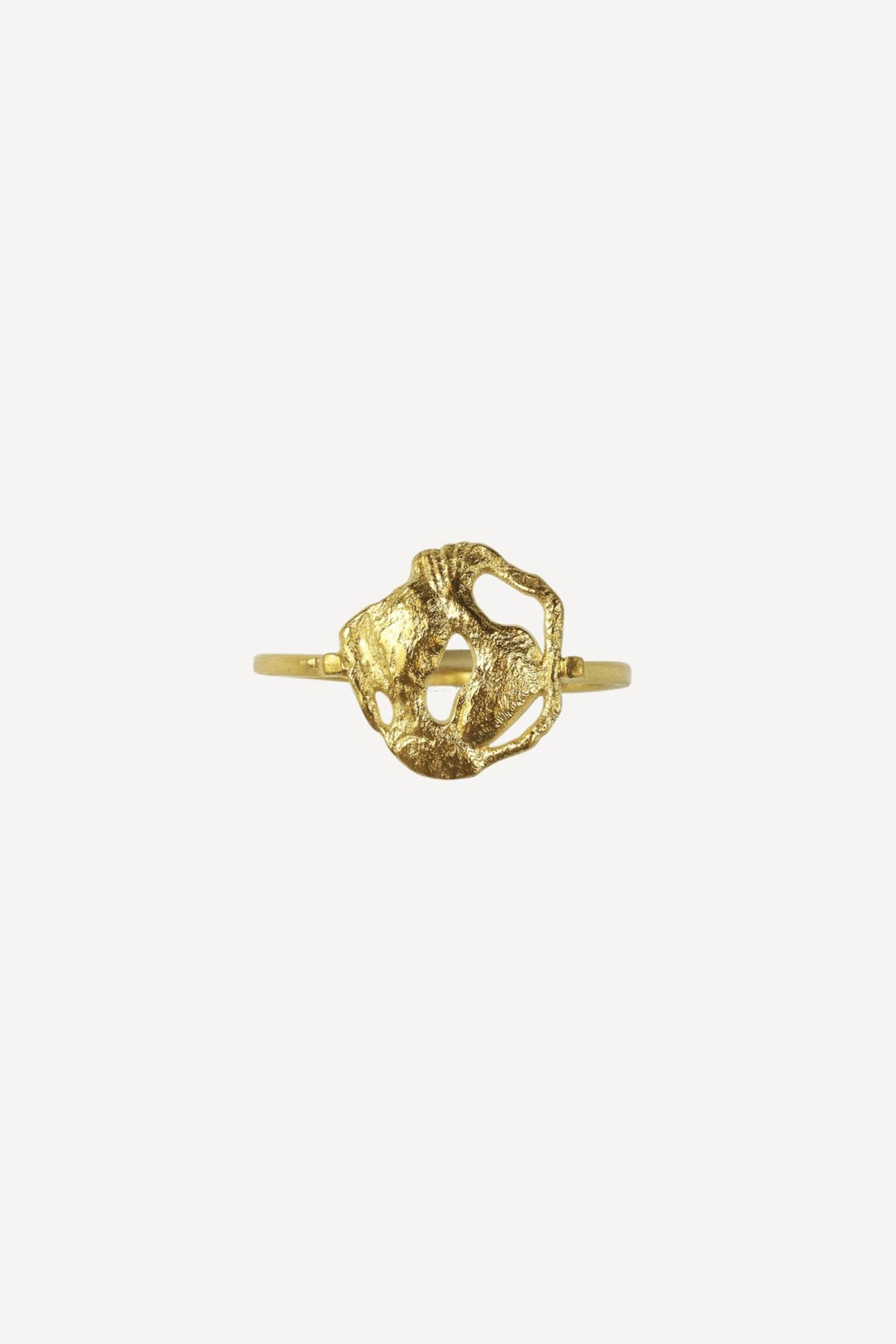 Star Sign Poetry Pisces Petite Gold Ring