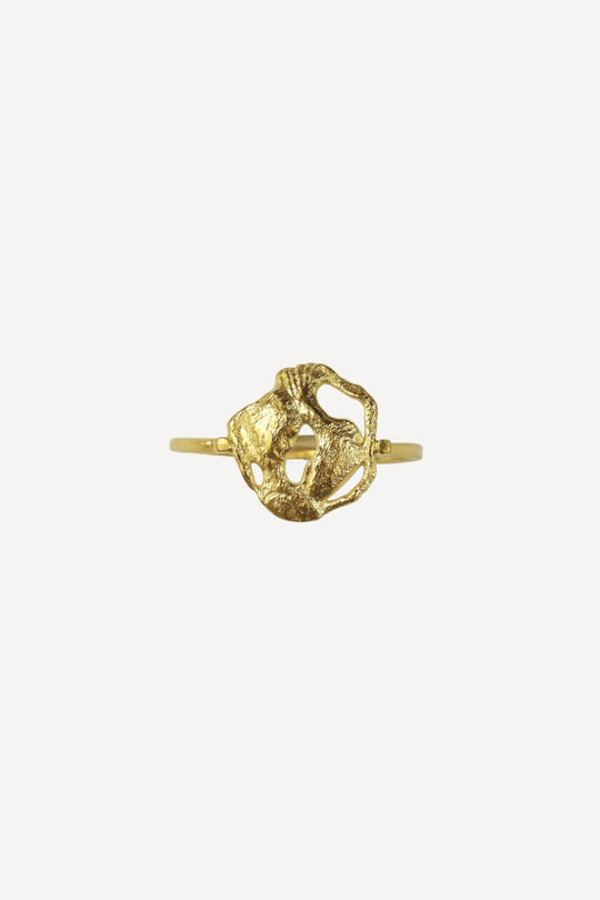 Star Sign Poetry Pisces Petite Gold Ring