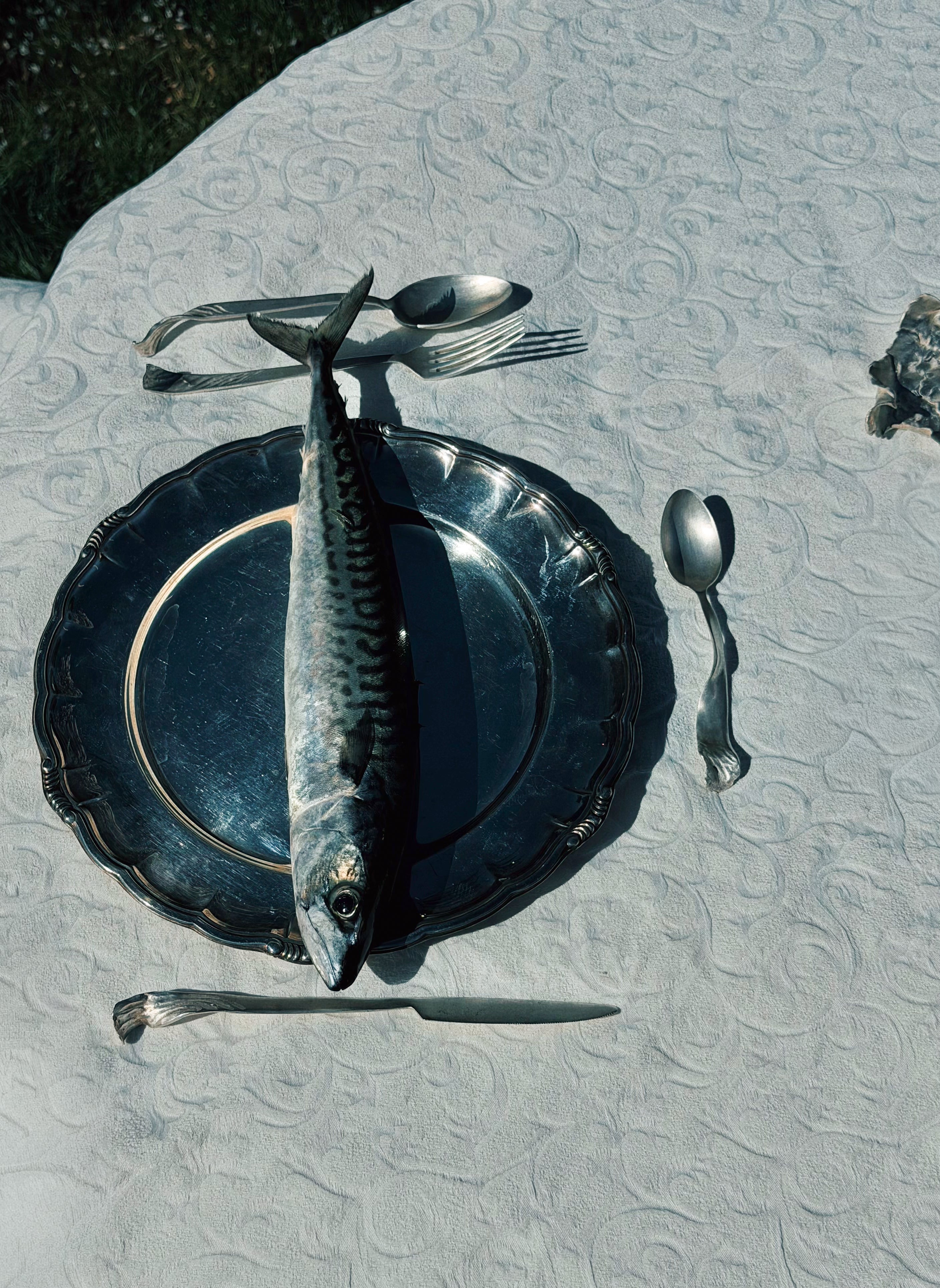 Scirocco Wind Dining Fork