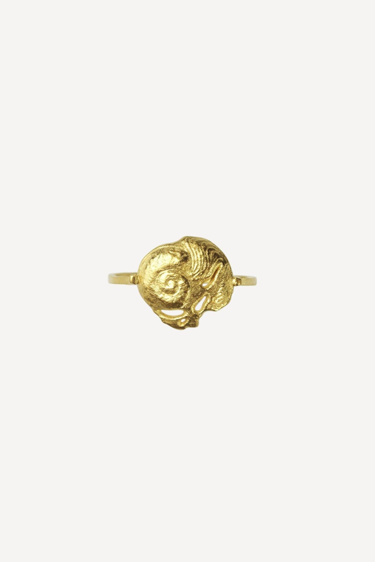 Star Sign Poetry Aquarius Petite Gold Ring - Front View | Elhanati 