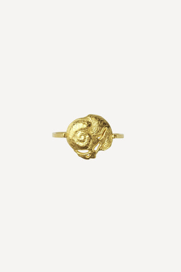 Star Sign Poetry Aquarius Petite Gold Ring - Front View | Elhanati 