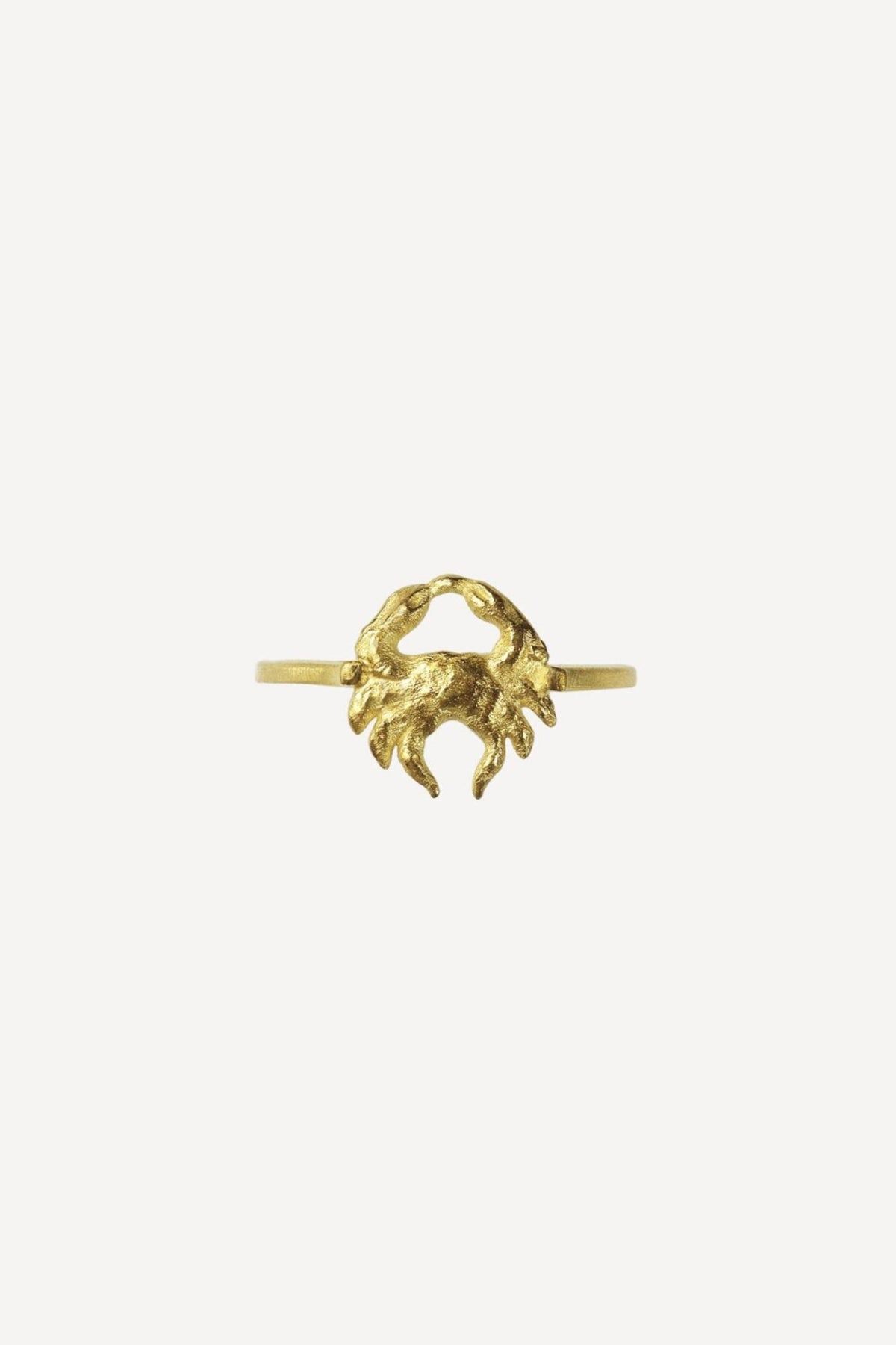 Star Sign Poetry Cancer Petite Gold Ring - Front View | Elhanati 